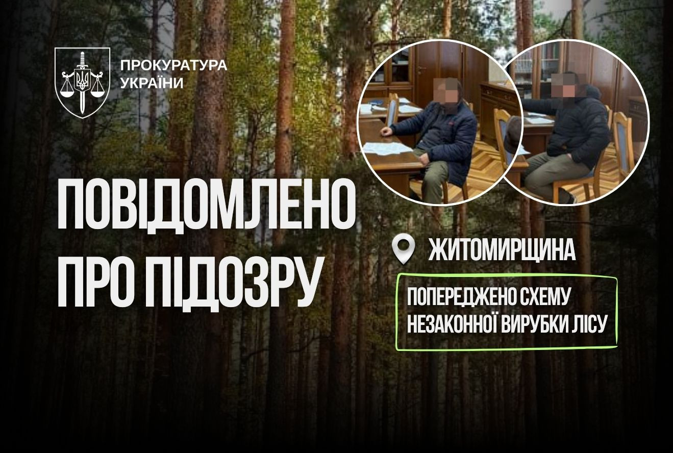 Дерева записали «ураженими шкідниками», щоб отримати дозвіл на вирубку - підозра службовим особам