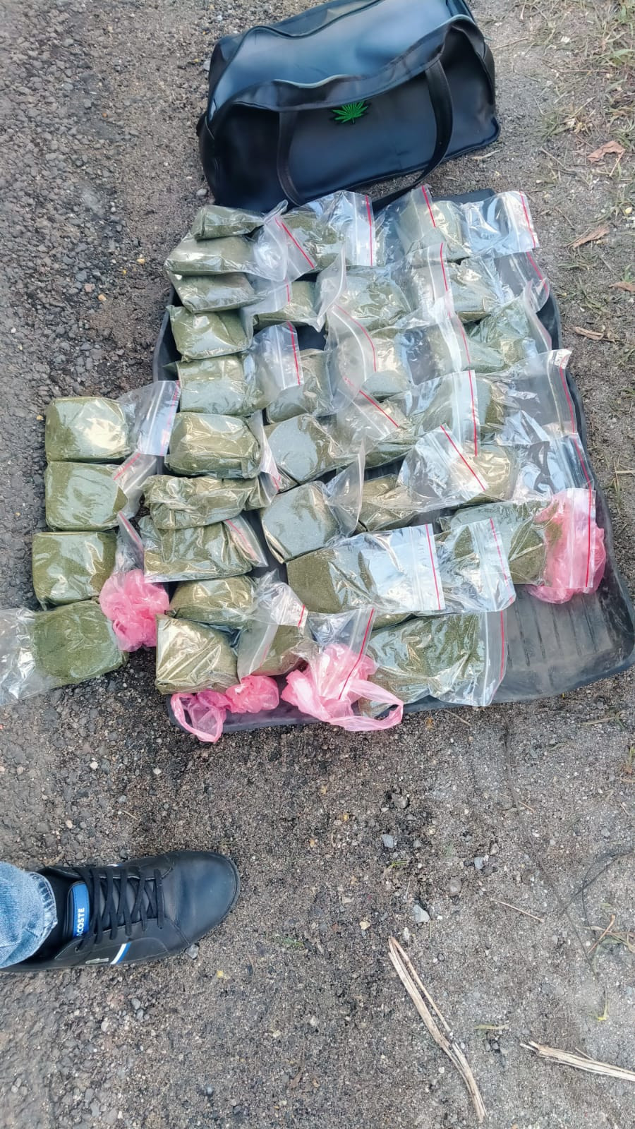 На Тернопільщині перекрито канал збуту наркотиків – вилучено понад 100 кг вартістю 3,5 млн грн (ФОТО)