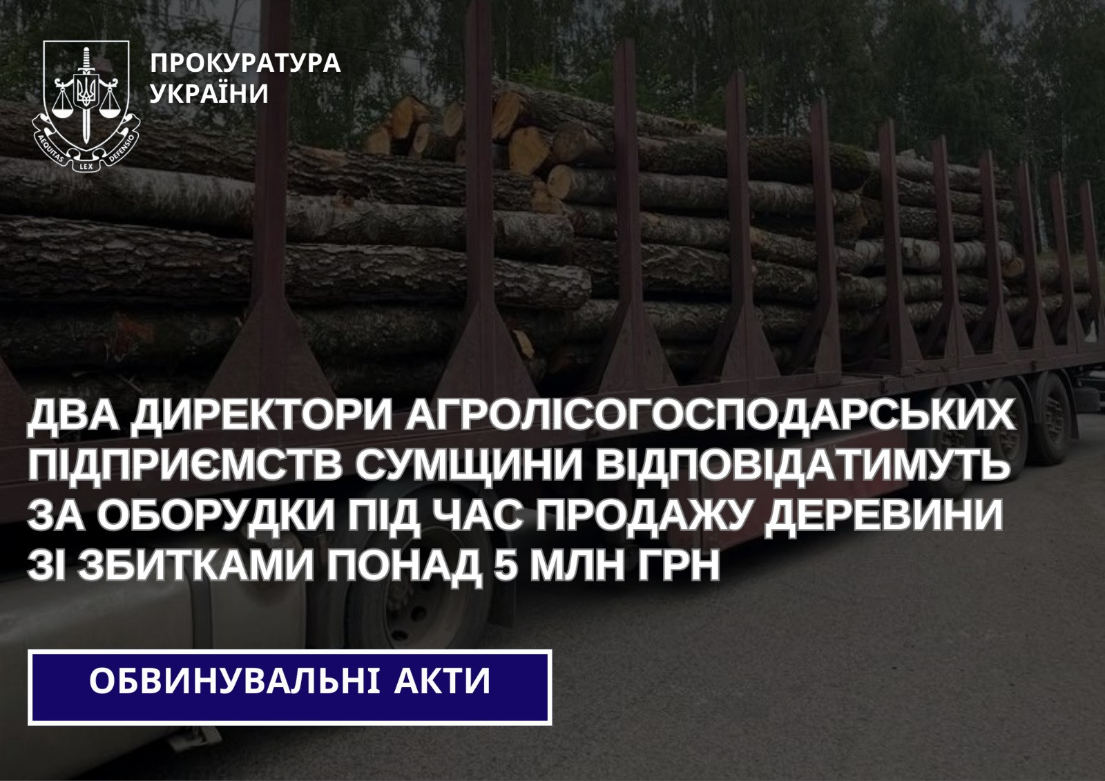 Два директори агролісогосподарських підприємств Сумщини відповідатимуть за оборудки під час продажу деревини зі збитками понад 5 млн грн
