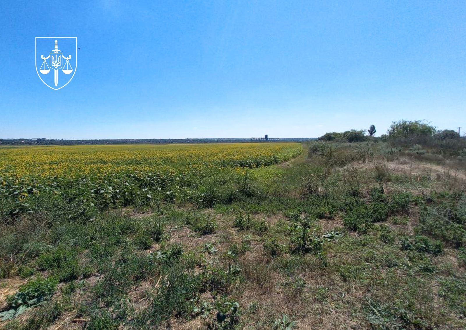 According to the lawsuit of specialized environmental prosecutors, more than 150 hectares of ponds, illegally drained for crops, were returned to the community of Mykolaiv Oblast