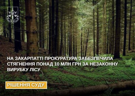 In Transcarpathia, the prosecutor's office provided a penalty of more than 10 million UAH for illegal deforestation
