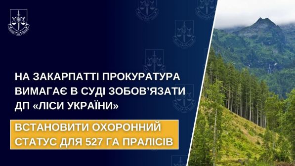 In Transcarpathia, the prosecutor's office demands in court to oblige SE "Forests of Ukraine" to establish a security status for 527 hectares of forests