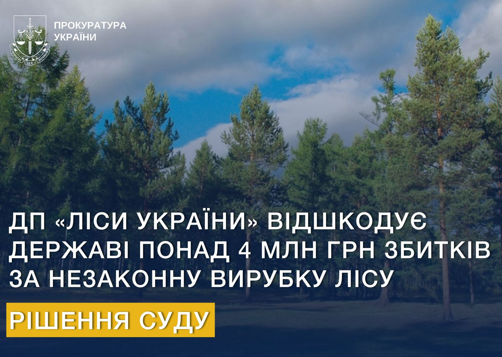 SE "Forests of Ukraine" will compensate the state for more than UAH 4 million in damages for illegal logging