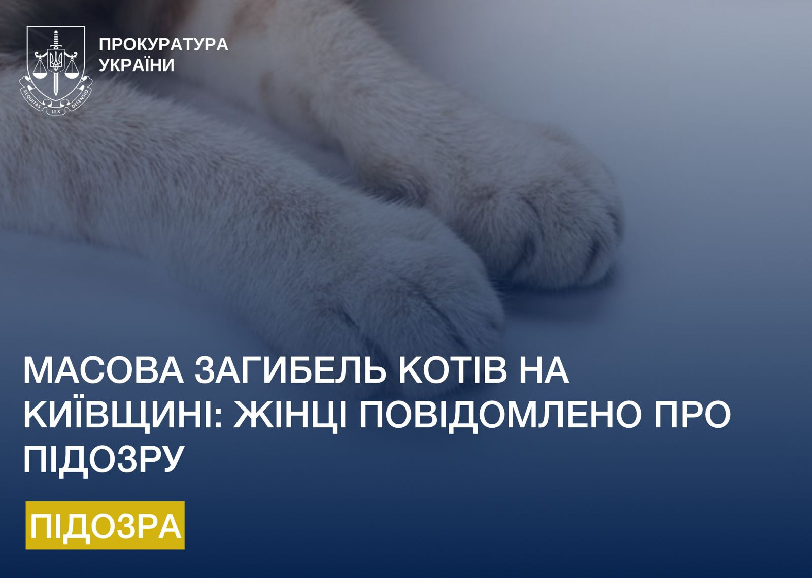 Mass death of cats in the Kyiv region: the woman was informed of suspicion
