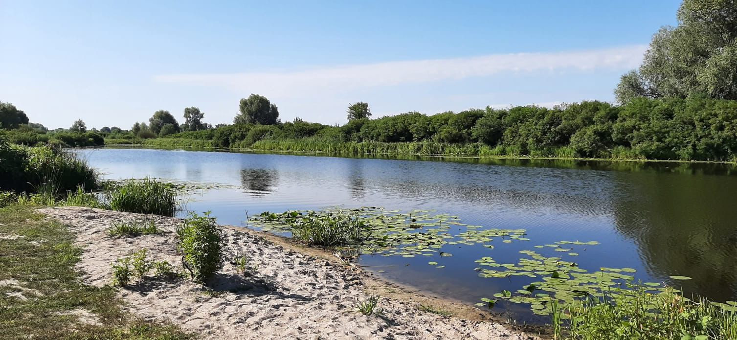 The prosecutor's office returns to the state protected and valuable lands. Chernihiv