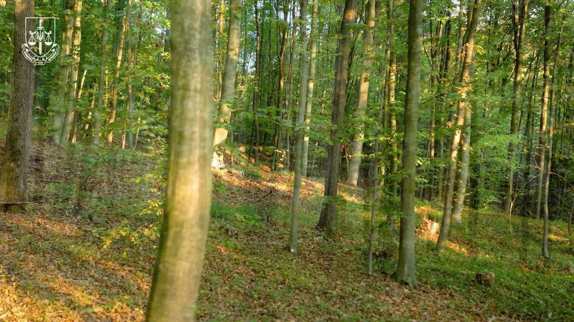 Прокуратура на захисті державних інтересів: Збереження земель лісогосподарського призначення є пріоритетом для прокуратури Вінниччини