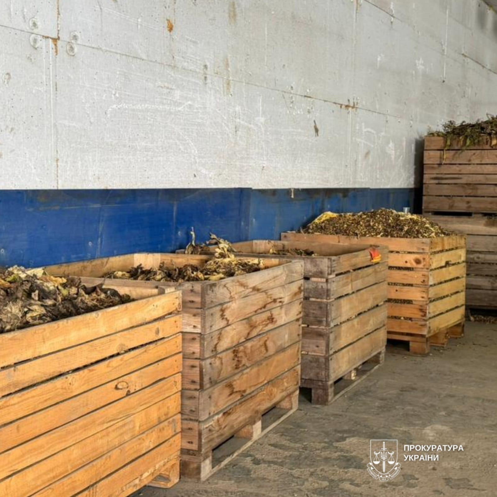 In Bukovina, tobacco was stopped and stopped, which was implemented throughout the country