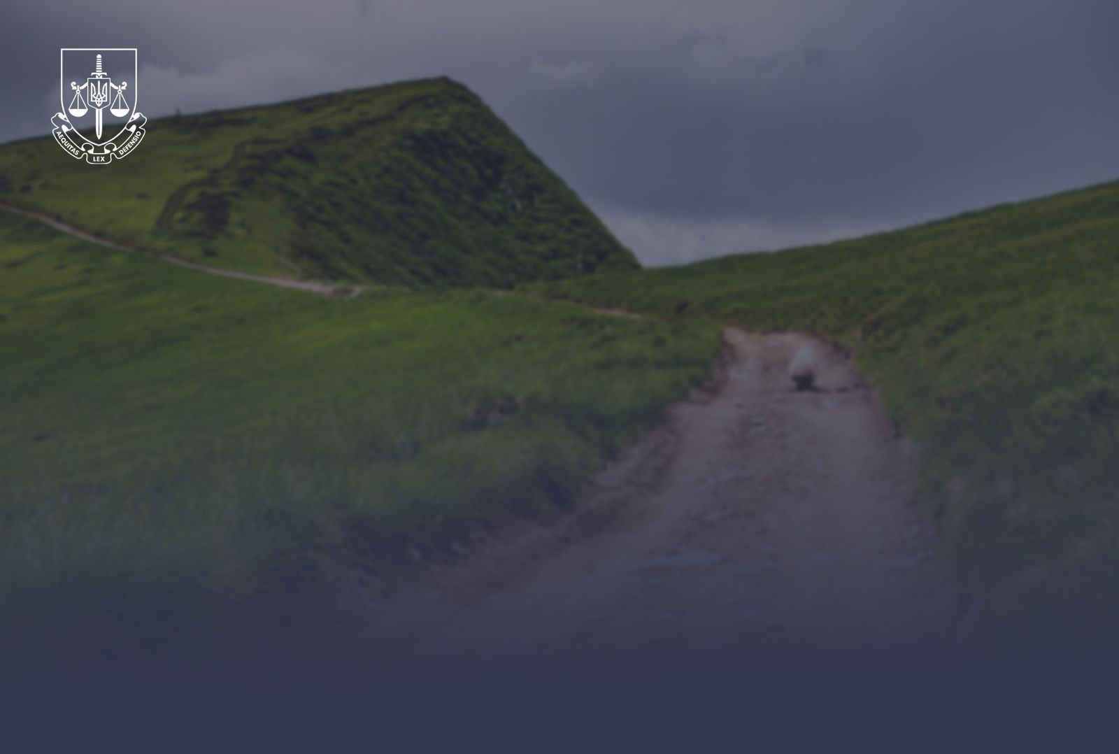 Transcarpathian illegally seized 2 ha in the Dragobrat valley - prosecutors reported suspicion