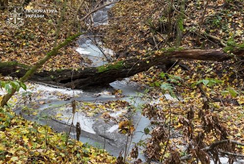 More than UAH 14.8 million in damage to the environment due to discharge into the river - officials of the enterprise in Khmelnytskyi region were notified of the suspicion
