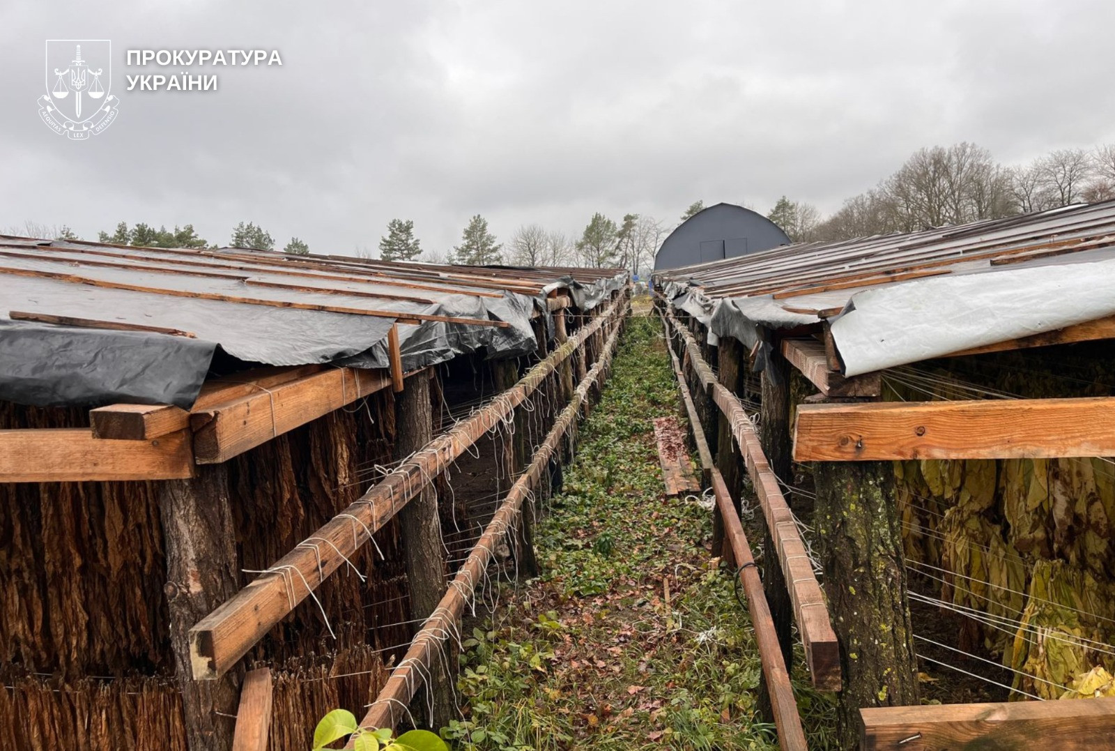 Law enforcement officers liquidated underground tobacco production worth more than UAH 25 million