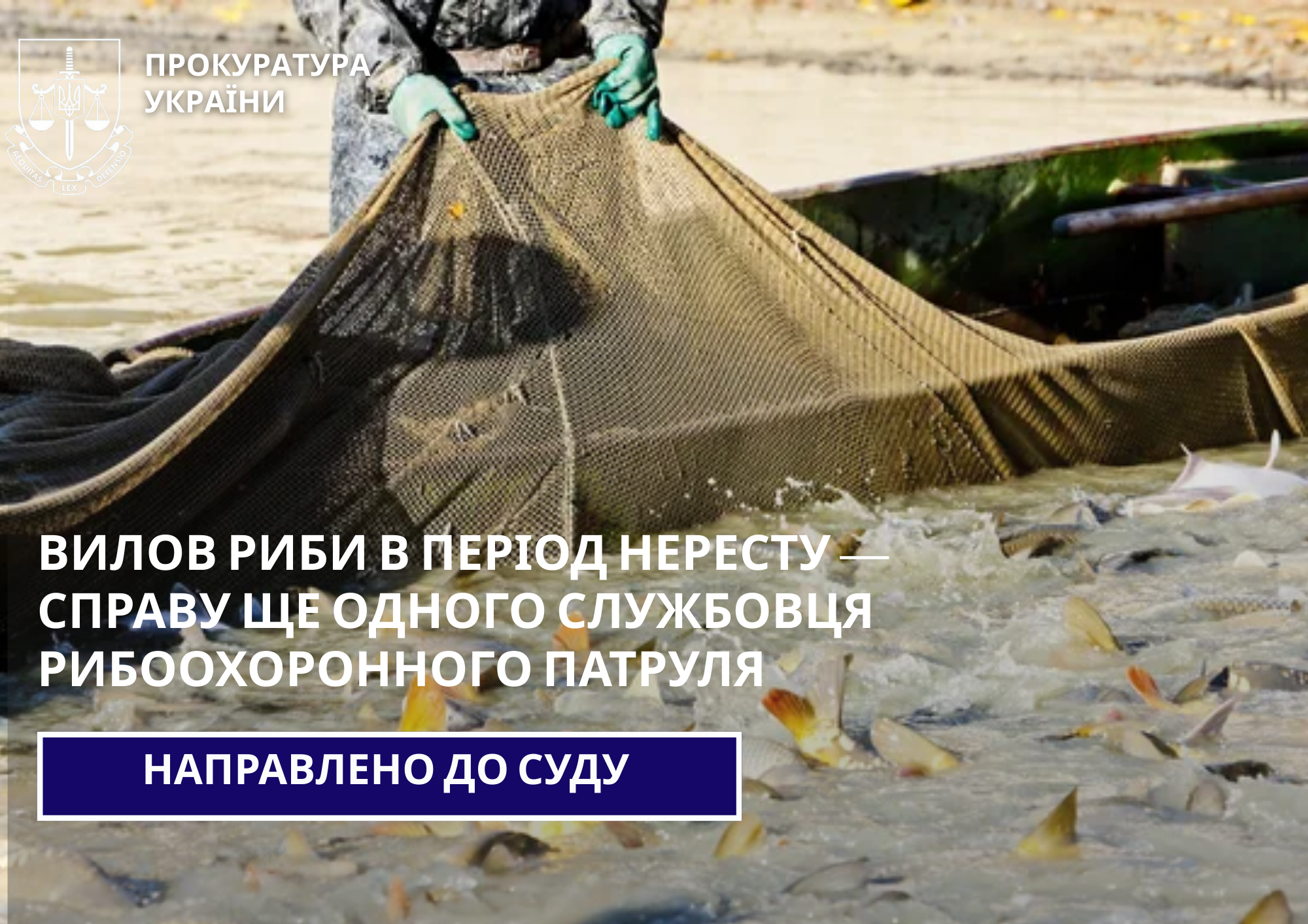 Catching fish during the spawning period - the case of another employee of the fish protection patrol was sent to court