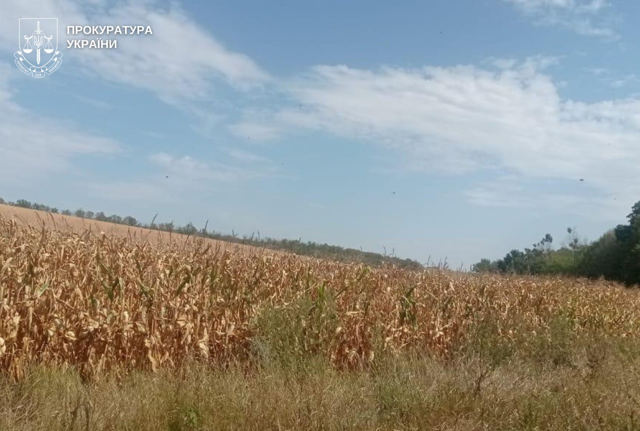 In Vinnytsia region, facts of illegal possession of land were discovered - 8 people were suspected