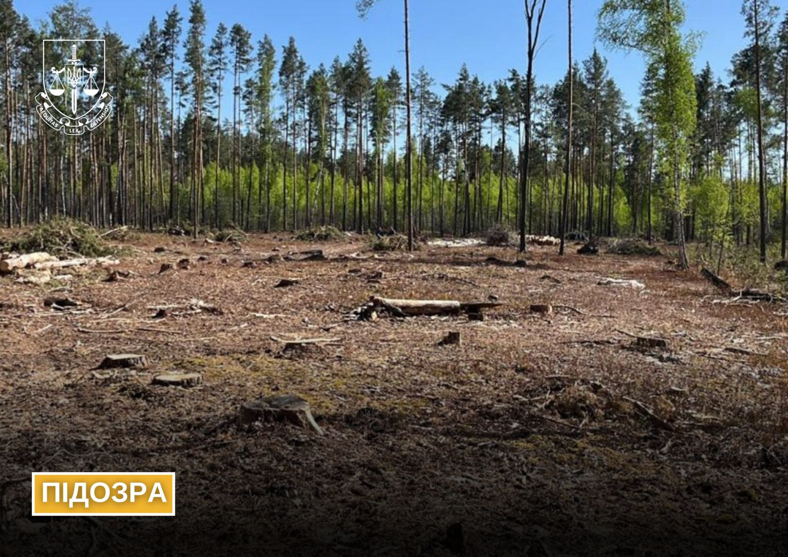 In Zhytomyr Oblast, officials were notified of suspicion of illegal forest cutting worth millions of hryvnias