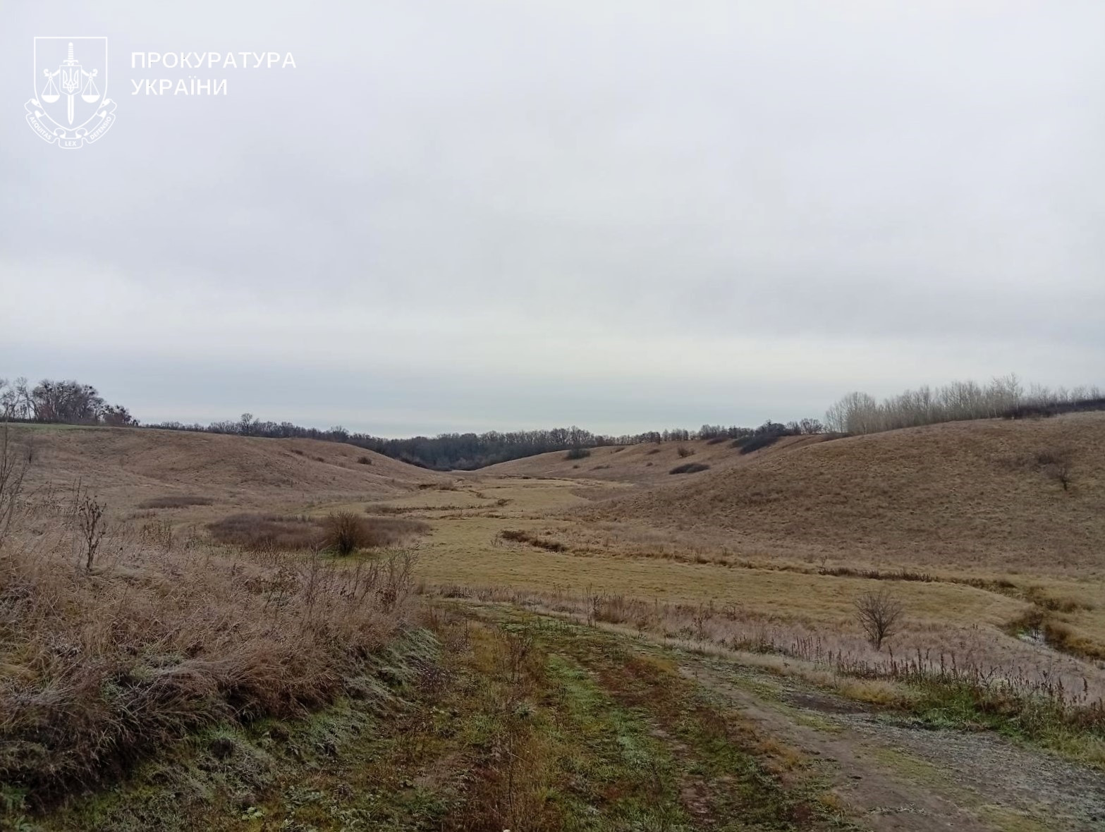 In Poltava region, the prosecutor's office returned 23 hectares of land to the nature reserve fund