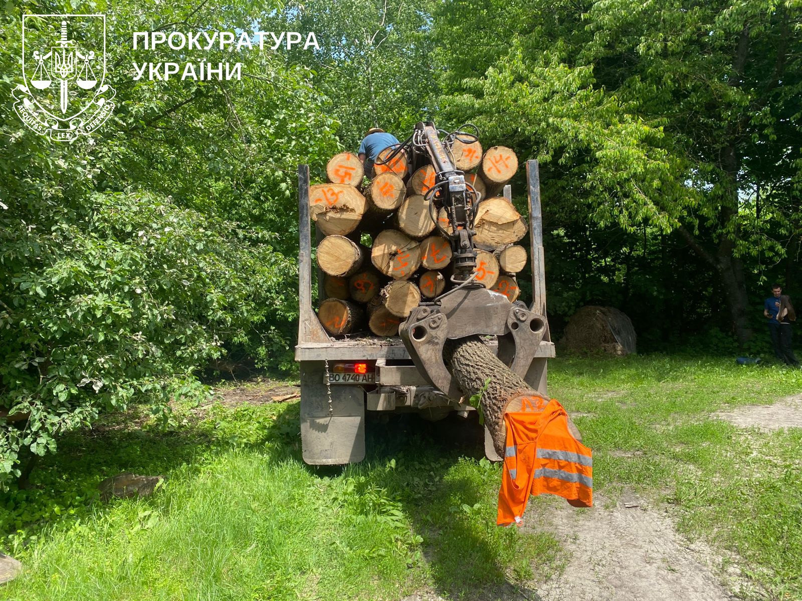 An employee of the State Enterprise "Forests of Ukraine" and an entrepreneur traded firewood - they were informed of the suspicion