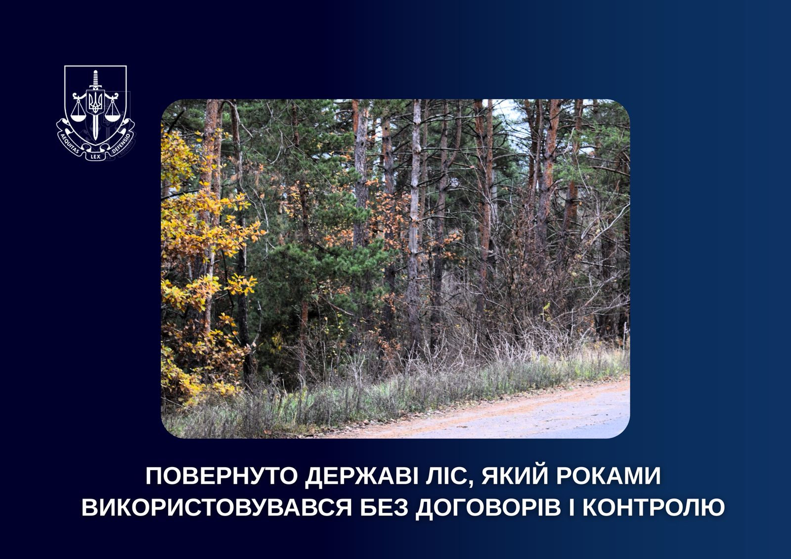 The forest, which was used for years without contracts and control, was returned to the state