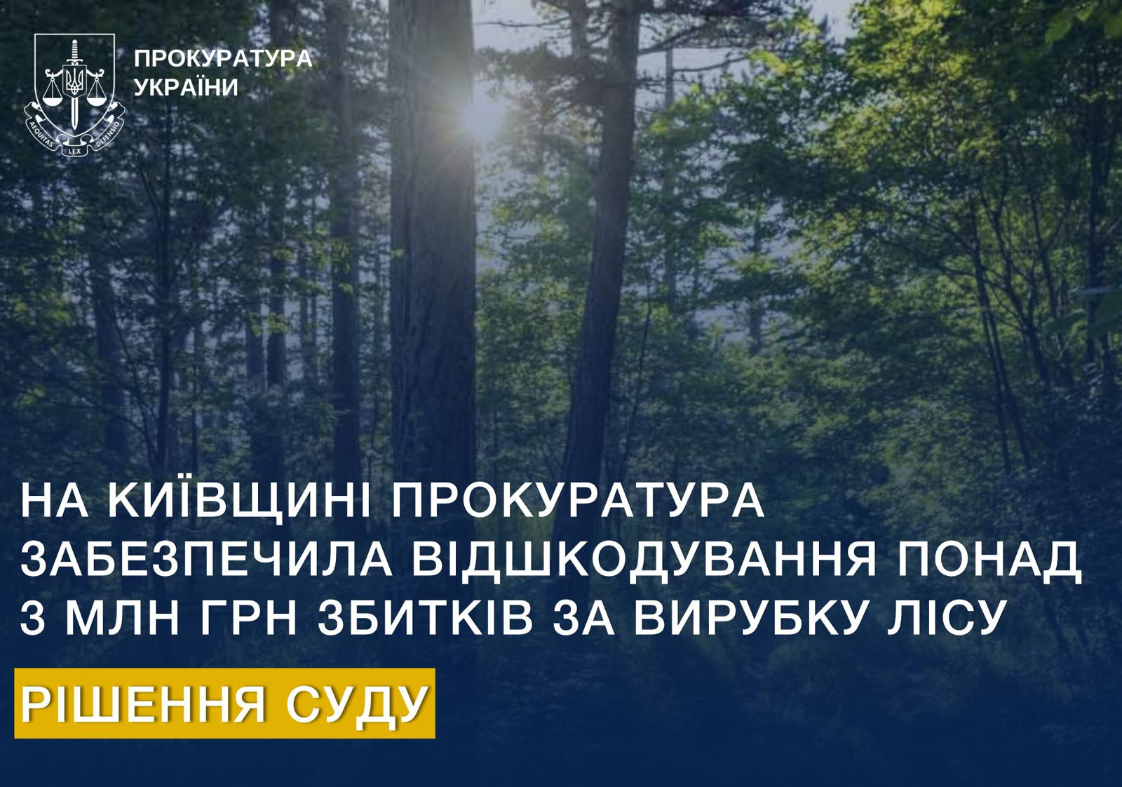 In the Kyiv region, the prosecutor's office provided compensation for more than UAH 3 million in damages for cutting down the forest