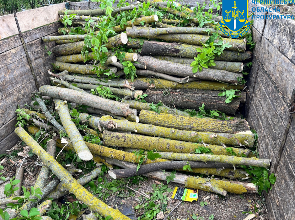 Illegal tree burst with losses of UAH 4.4 million - a group of "black" loggers reported suspicion