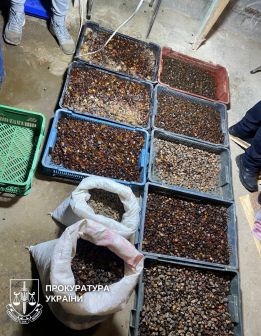 На Рівненщині трьом чоловікам оголосили підозру в організації незаконного бурштинового бізнесу. Вартість вилученого каміння - понад 1,3 млн грн