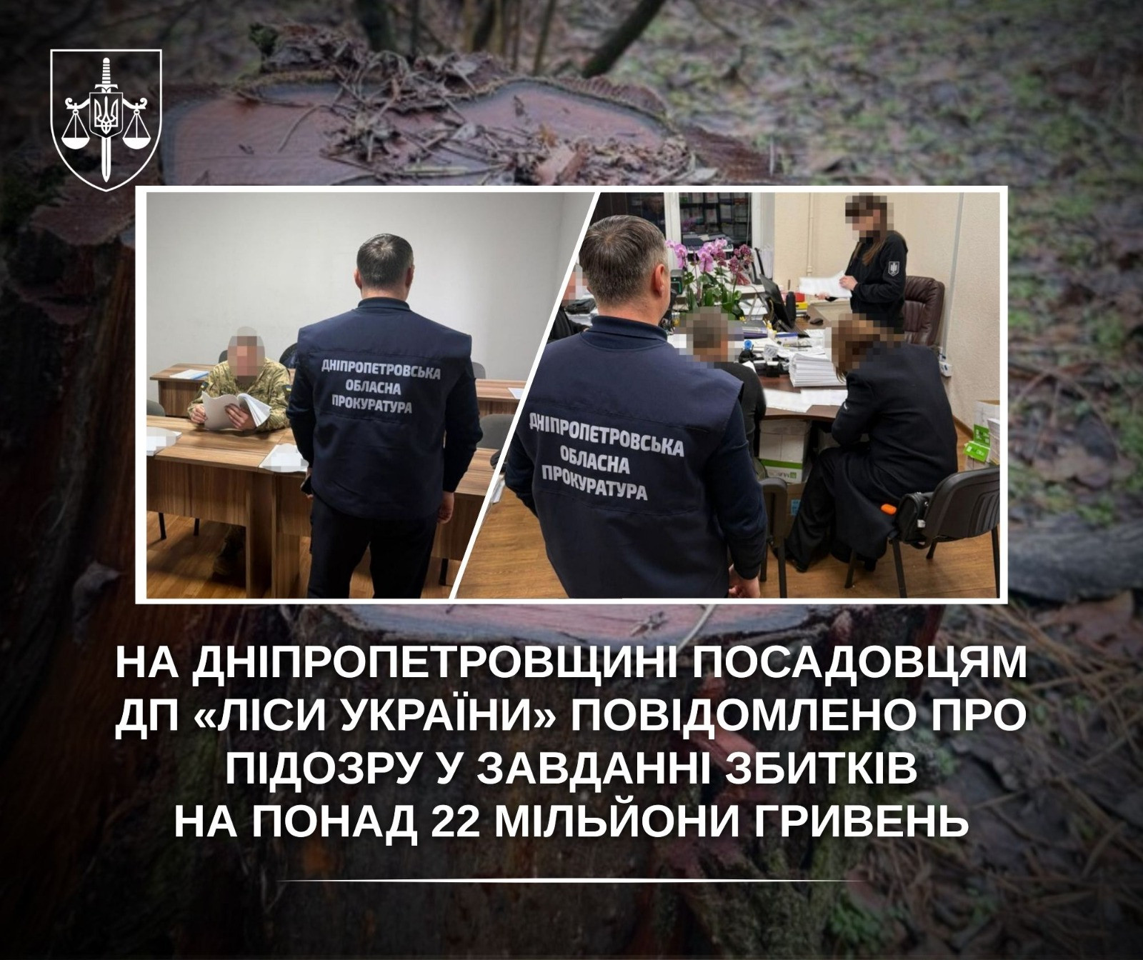 На Дніпропетровщині посадовцям ДП «Ліси України» повідомлено про підозру у завданні збитків на понад 22 мільйони гривень