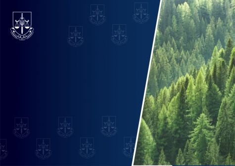 An indictment was sent to the court against three employees of the State Enterprise "Lisa Ukrainy" who tried to seize state property