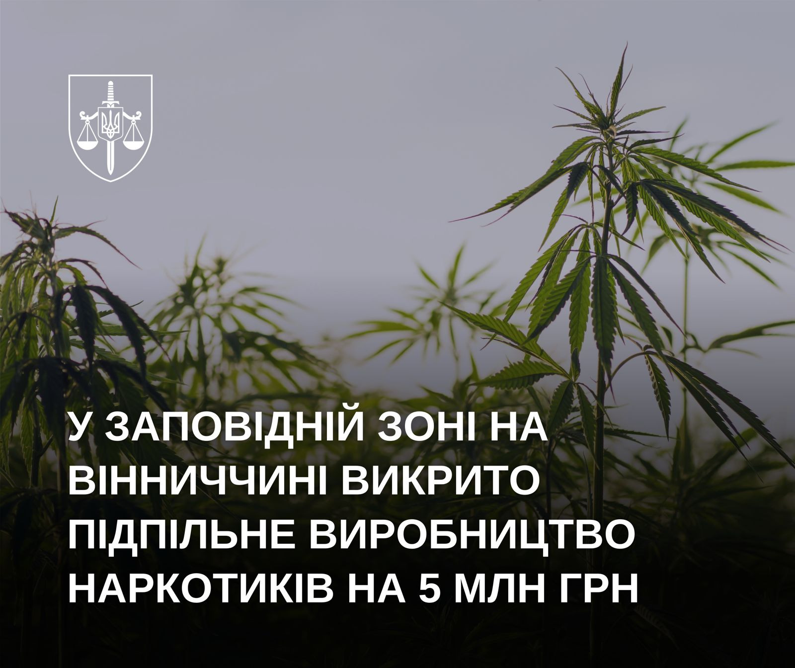 У заповідній зоні на Вінниччині викрито підпільне виробництво наркотиків на 5 млн грн