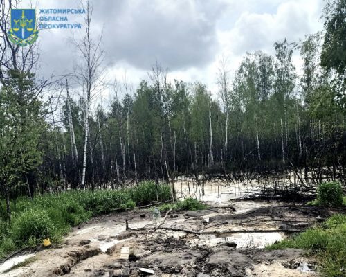 Забруднення довкілля виробничими відходами – на Житомирщині директору приватного підприємства повідомили про підозру