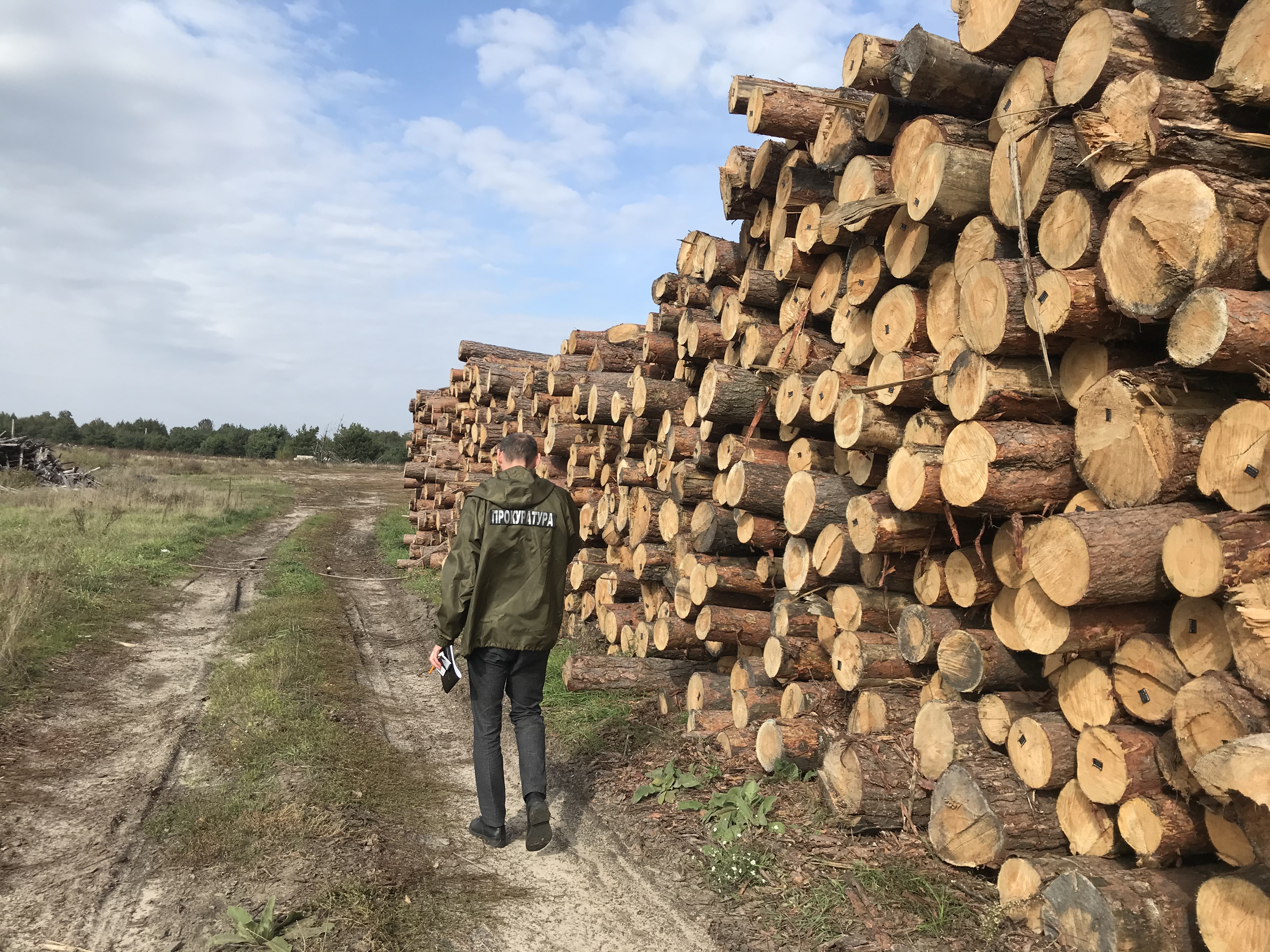 Накладено арешт на понад 600 м куб незаконної деревини на Волині (ФОТО)
