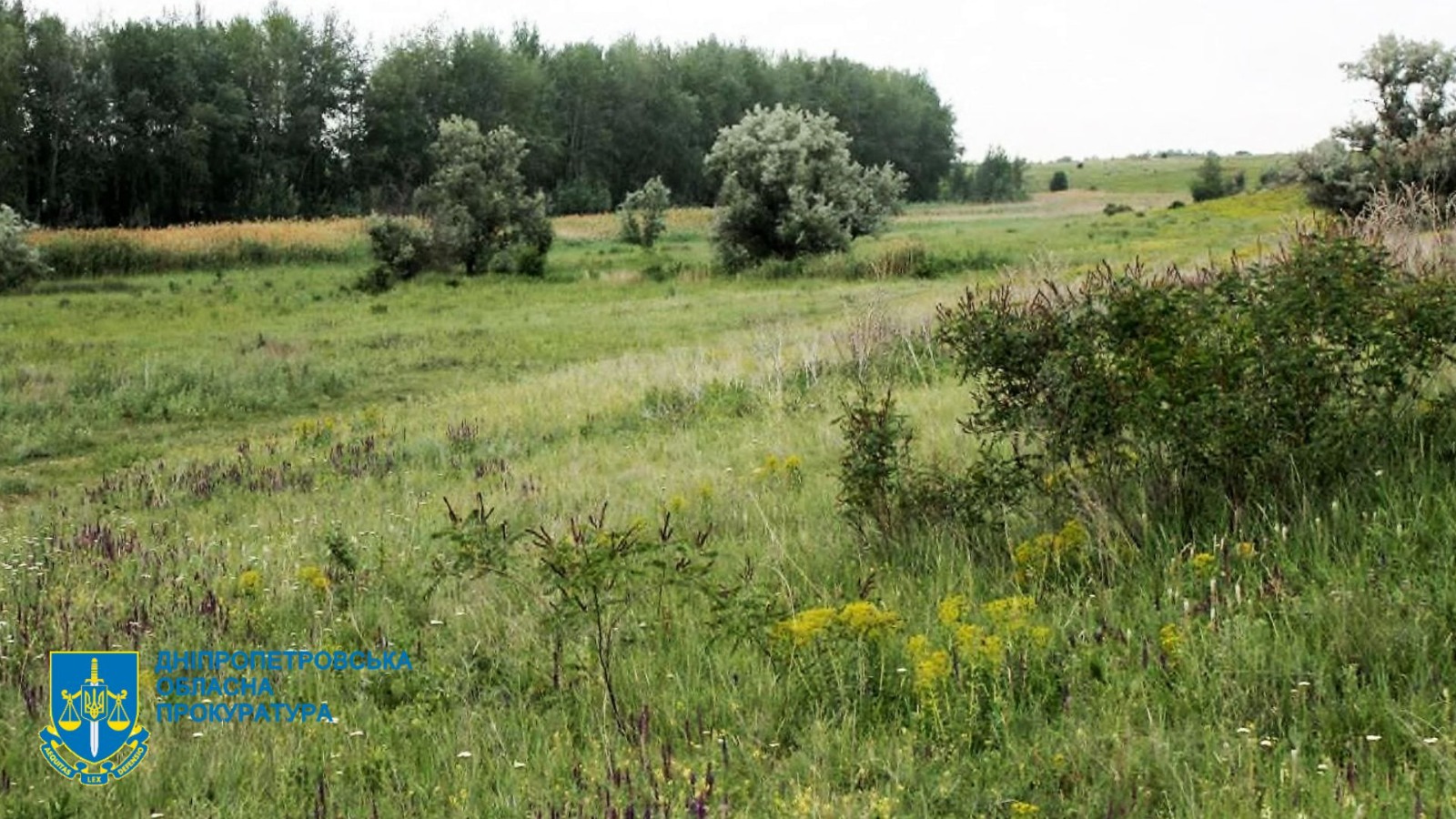 Прокуратура Дніпропетровщини повернула державі землі ландшафтного заказника «Вишневський» вартістю понад 640 млн грн