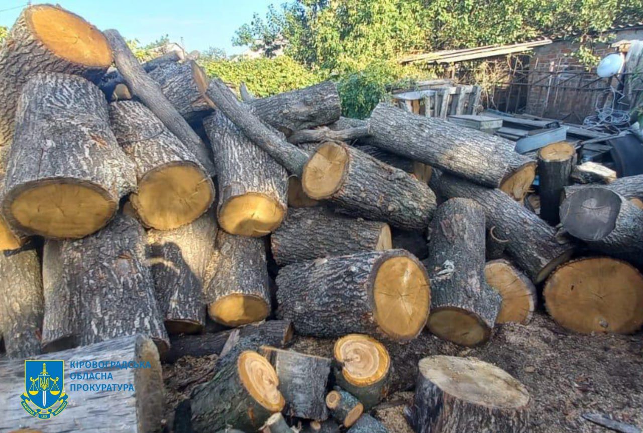 Мільйонні збитки довкіллю через знищення цінного лісу – на Кіровоградщині викрито діяльність злочинної групи