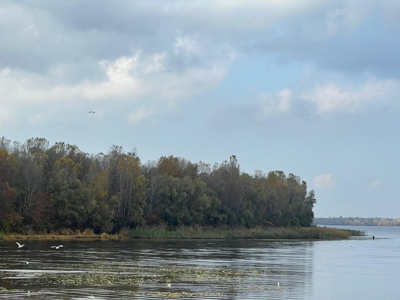 На Дніпропетровщині прокуратура повернула державі землі водного фонду вартістю 600 млн грн