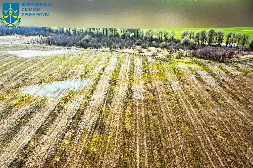 Заволодіння 6,5 млн грн на висадженні горіхового саду – на Житомирщині повідомлено про підозру учасникам ОЗГ