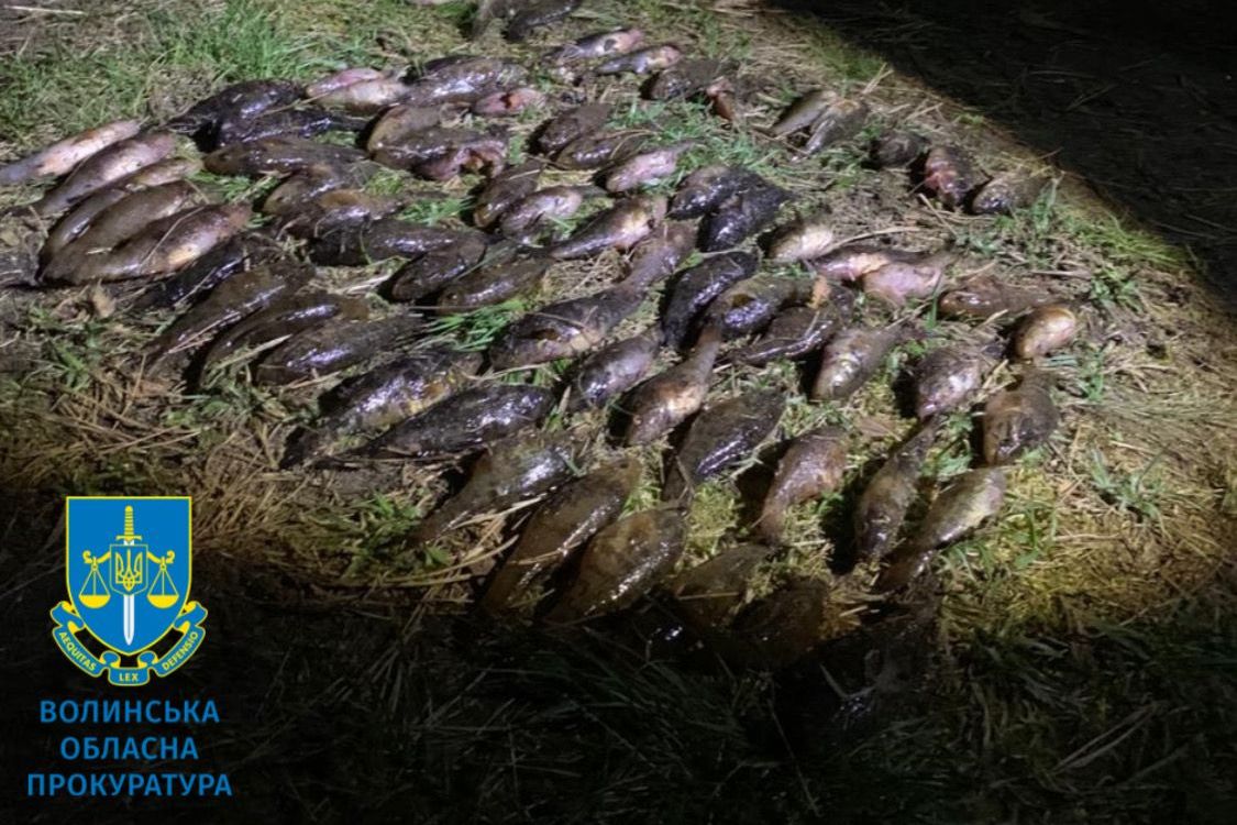 Незаконний вилов на території заказника цінних видів риби на майже мільйон гривень – судитимуть волинянина
