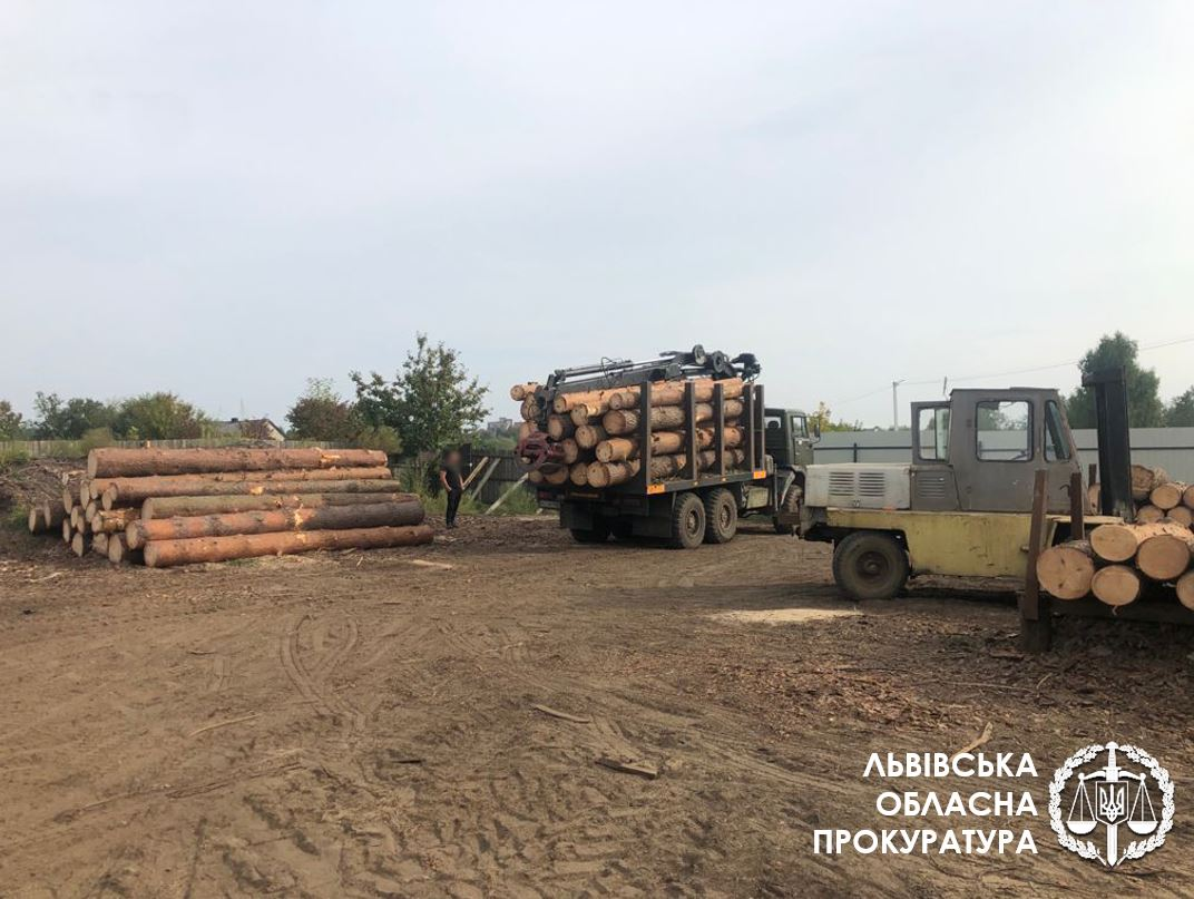 Розкрадання деревини з національного парку на Львівщині – викрито злочинну групу (ФОТО)