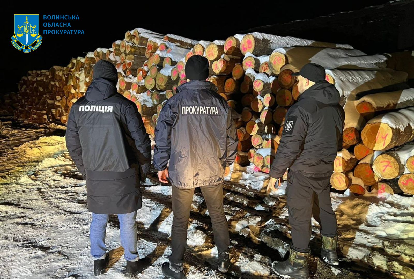 Незаконні рубки дерев зі збитками у понад 4 млн грн – на Волині повідомлено про підозру п’ятьом членам організованої групи