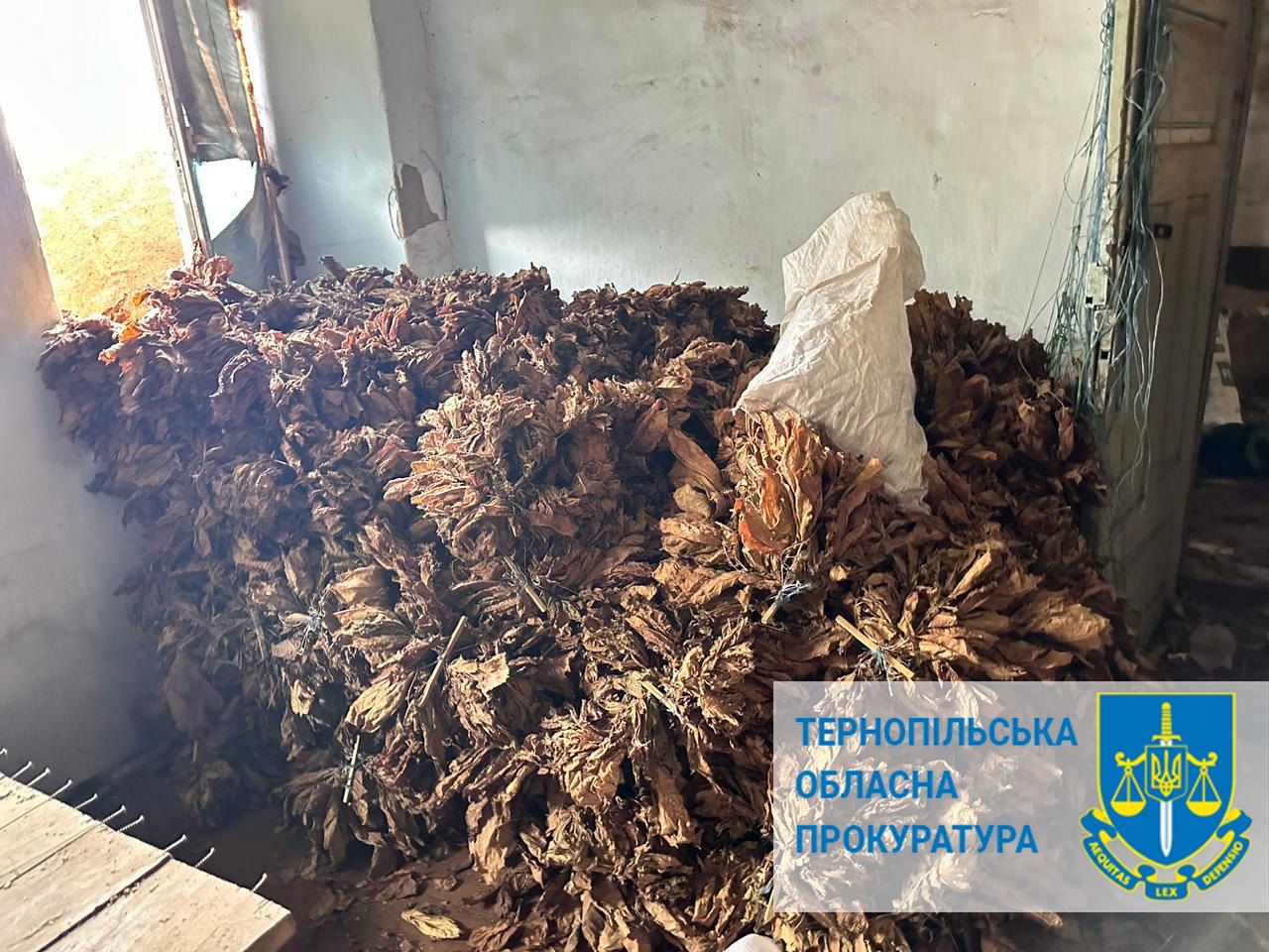 На Тернопільщині з незаконного обігу вилучено 4,5 тонни тютюну