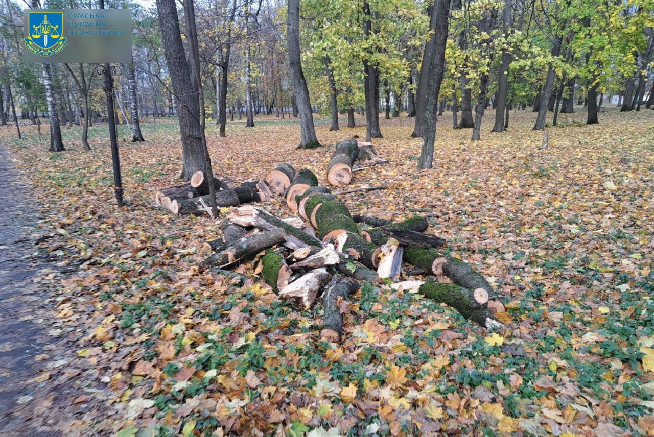 Організував незаконну рубку дерев на території природно-заповідного фонду Сумщини зі збитками у майже 1,6 млн грн – повідомлено про підозру директору КП