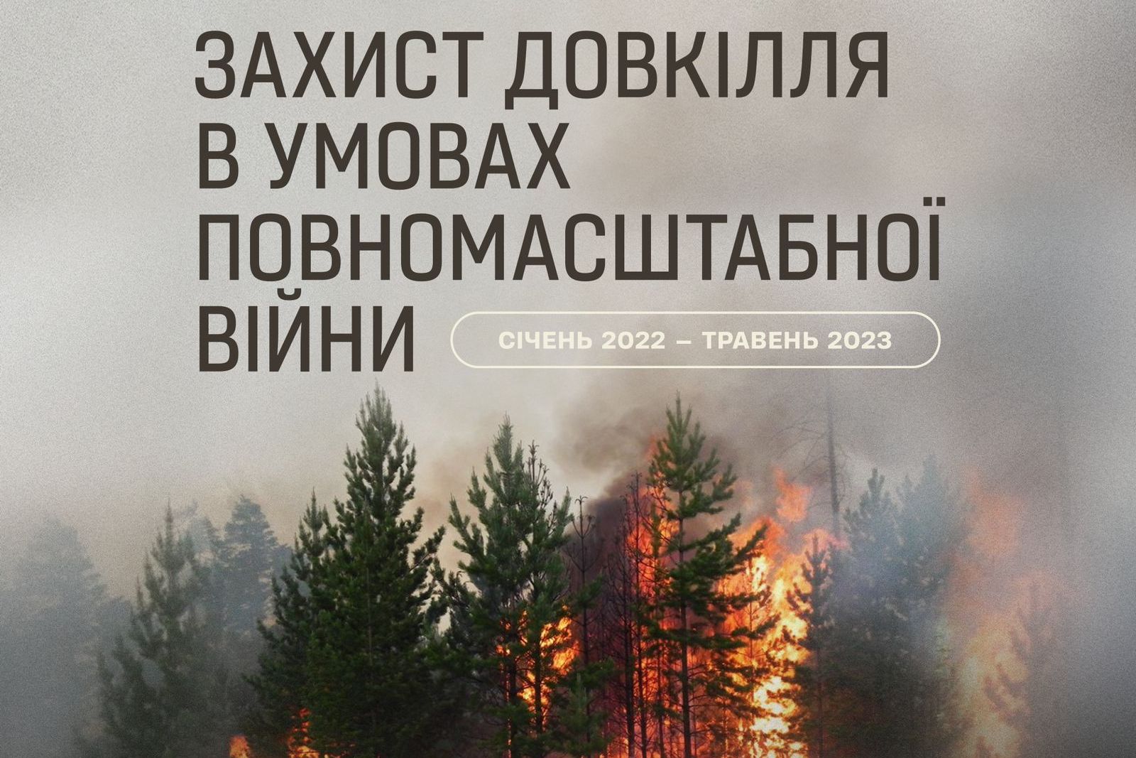 Захист довкілля в умовах повномасштабного російського вторгнення: зареєстровано близько 200 проваджень щодо воєнних злочинів, завдано мільярдних збитків