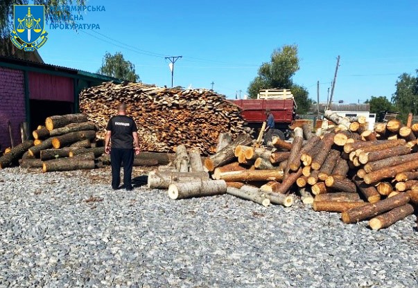 Організував незаконну порубку дубів на 2 млн грн збитків – підозрюють майстра лісу держлісгоспу Житомирщини та його спільників