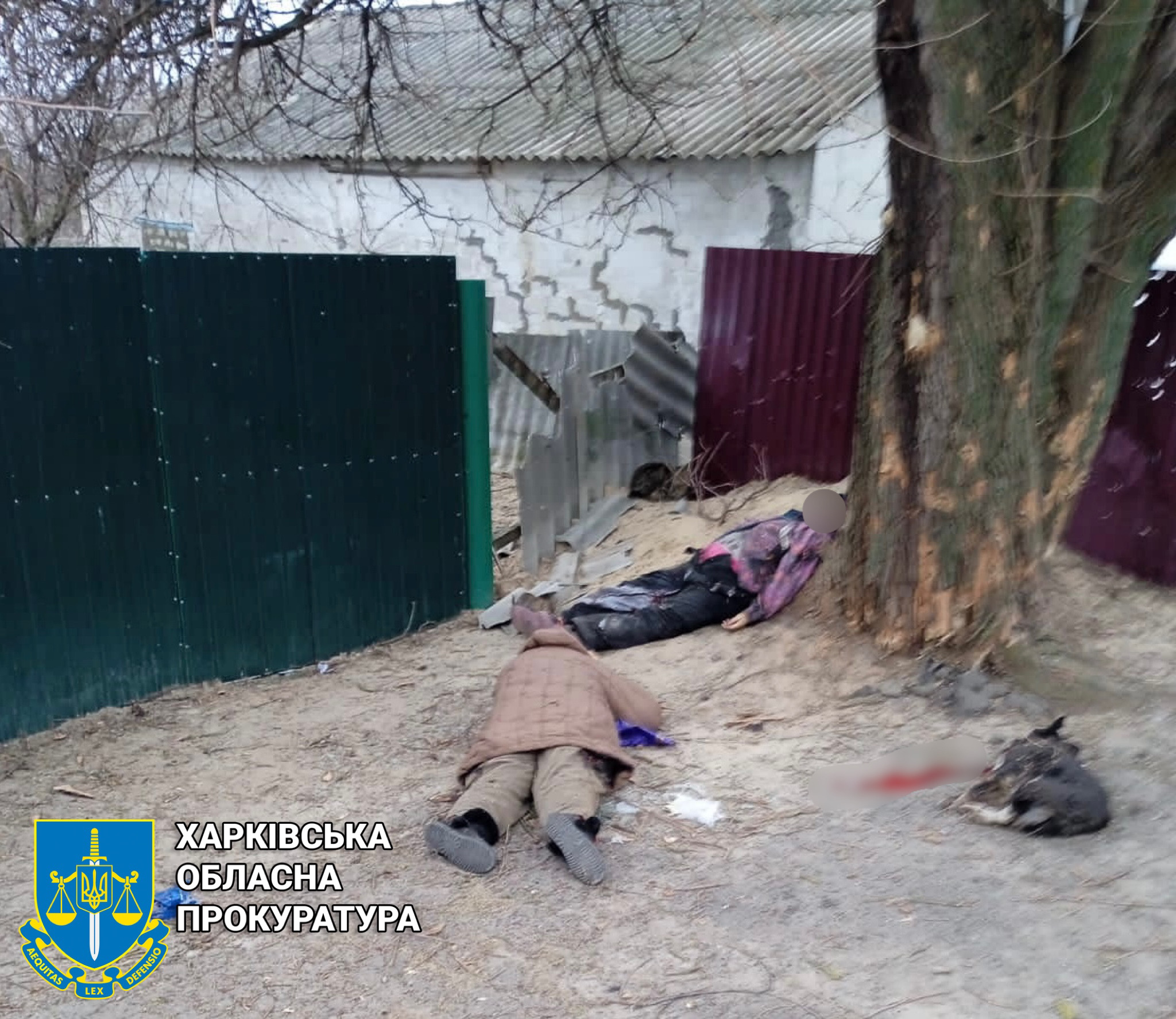 Внаслідок ворожого обстрілу смт Дворічна на Харківщині загинули двоє жінок — розпочато провадження