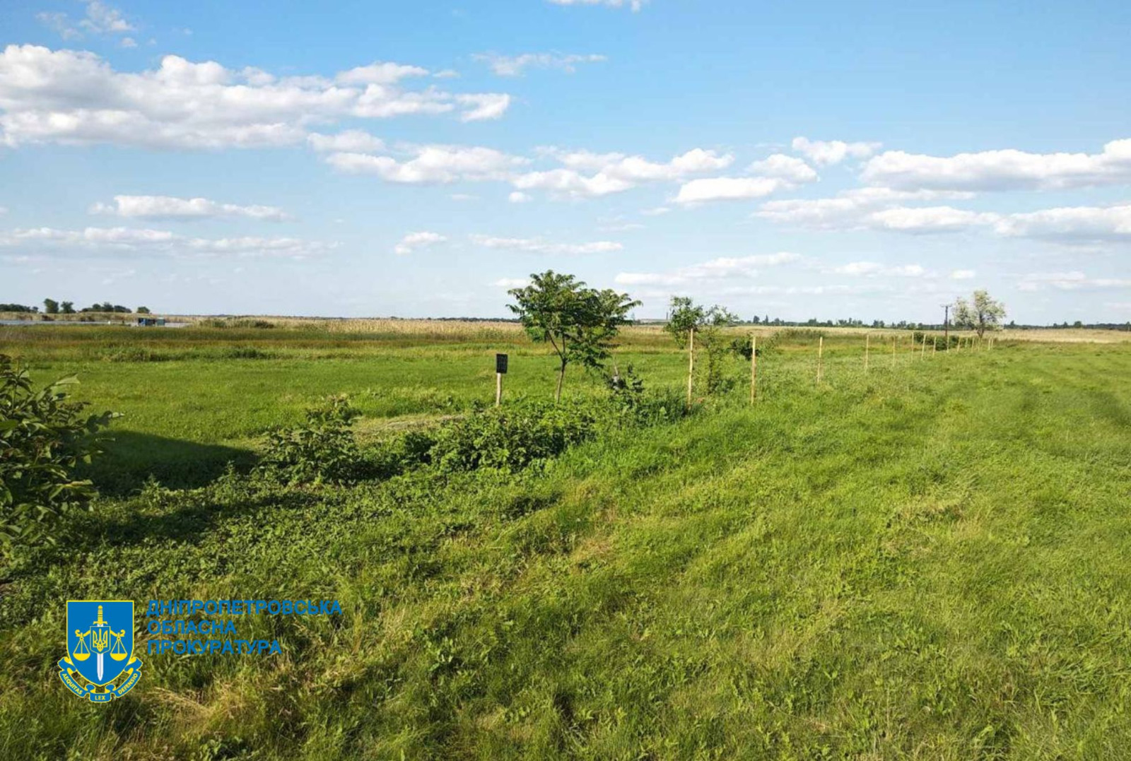 На Дніпропетровщині прокуратура повернула тергромаді землі вартістю понад 230 млн грн