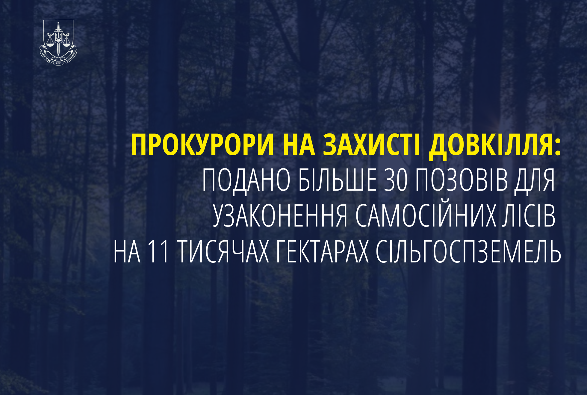 Прокурори на захисті довкілля: Подано більше 30 позовів для узаконення самосійних лісів на 11 тисячах гектарах сільгоспземель