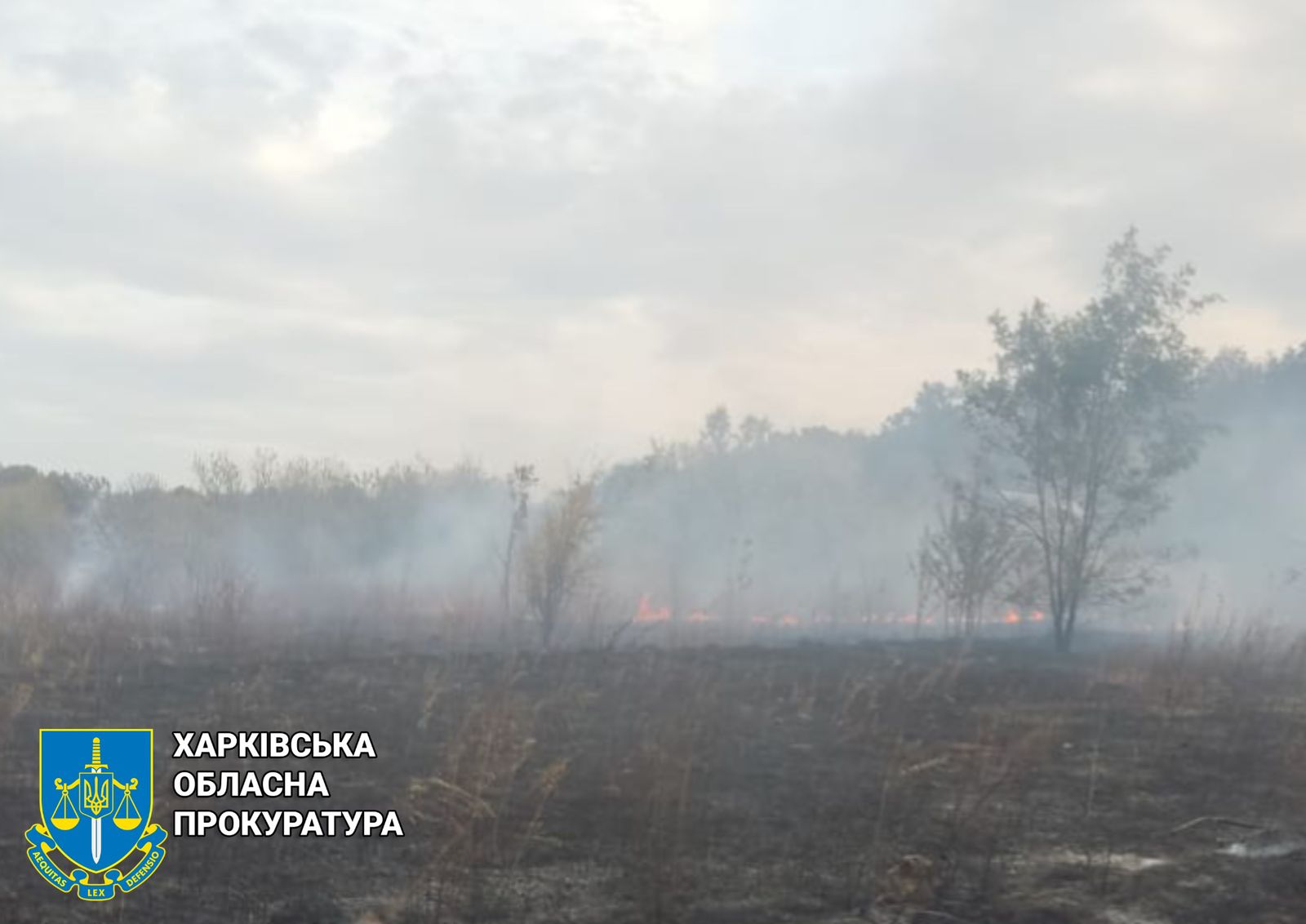 Ворог знову здійснив авіаобстріли передмістя Харкова, постраждали двоє людей – розпочато провадження