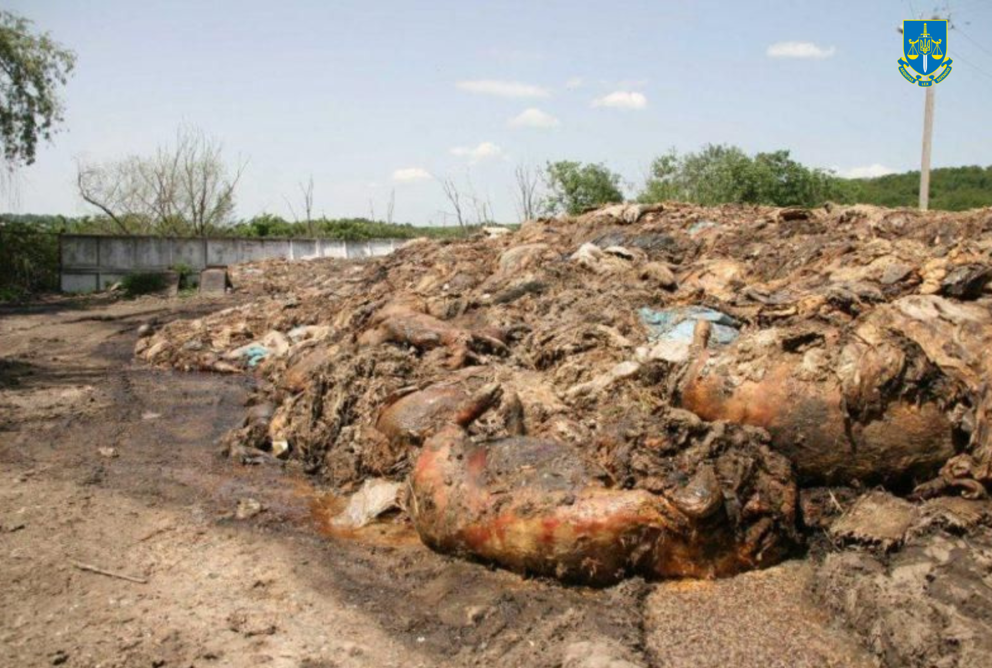 Забруднили тушами померлих тварин понад 1,3 гектари земель – викрито керівника філії держпідприємства на Київщині