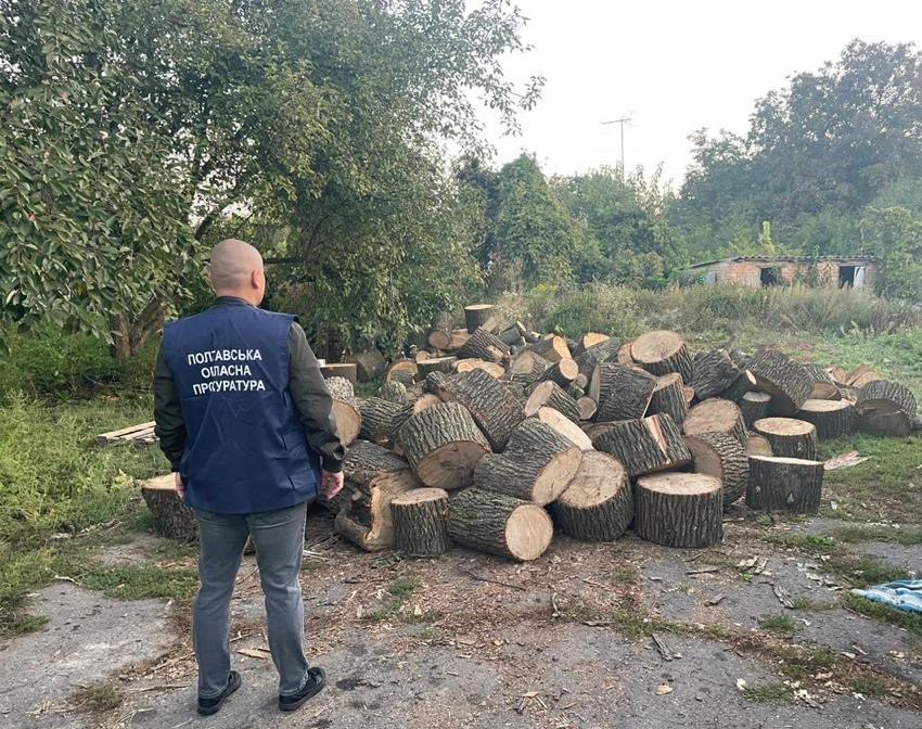 На Полтавщині викрито групу осіб, які без лісорубного квитка вирубали понад 400 дерев