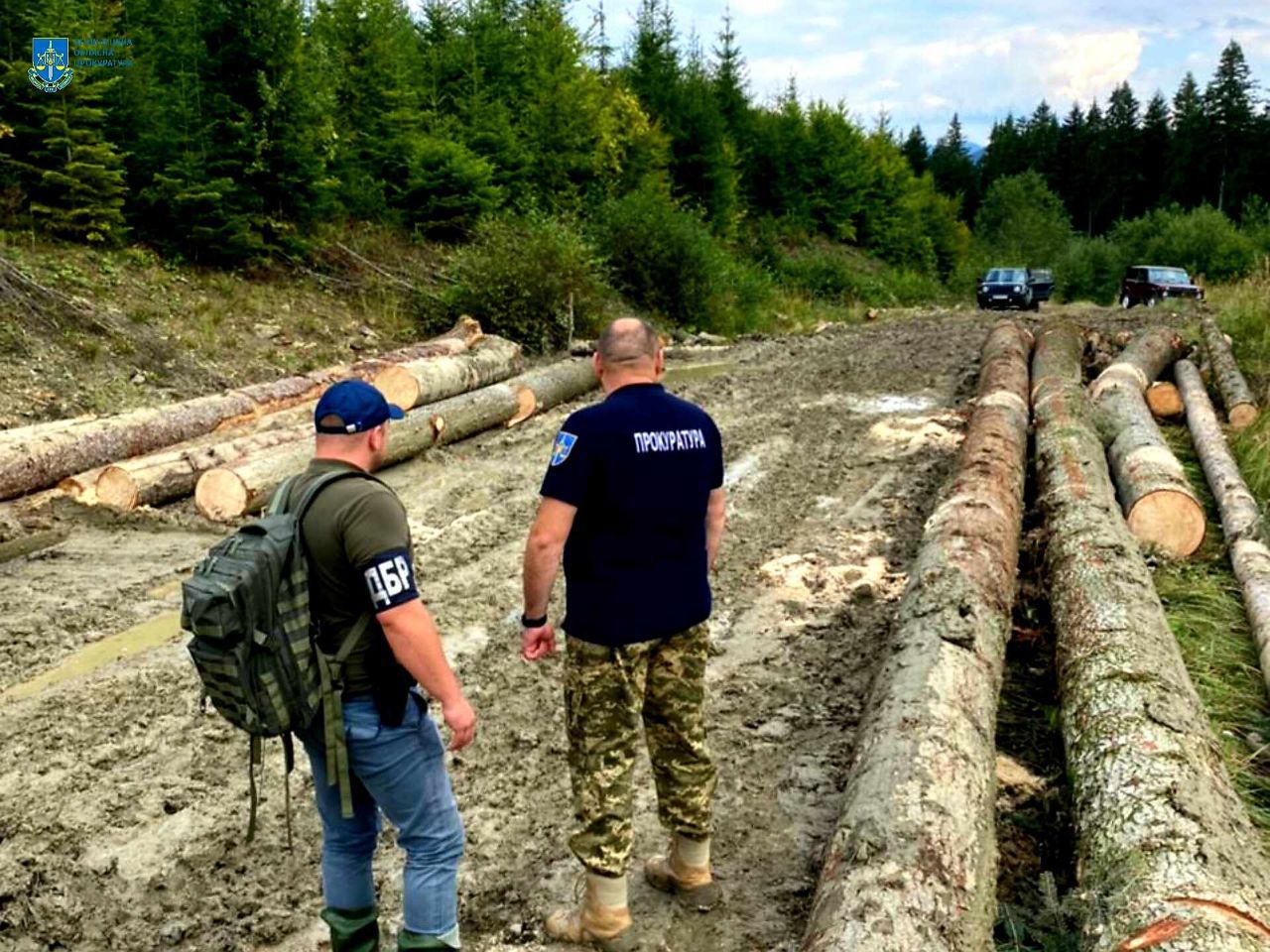 Незаконна порубка лісу зі збитками у понад 2 млн грн – на Буковині судитимуть організатора та двох учасників злочинного угруповання